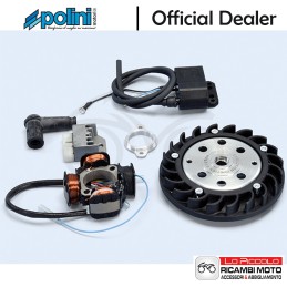 171.0556 ACCENSIONE POLINI...