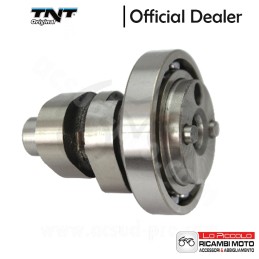 038601 ALBERO A CAMME...