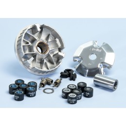 241.301 VARIATORE POLINI...