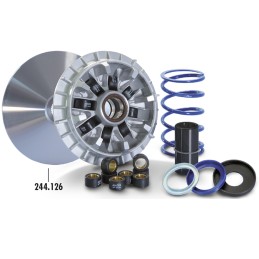 241.701 VARIATORE POLINI...