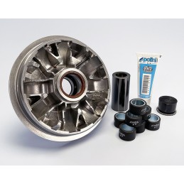 241.760 VARIATORE POLINI...