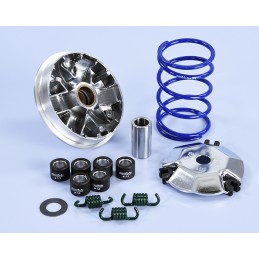 241.759 VARIATORE POLINI...