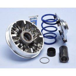 241.758 VARIATORE POLINI...
