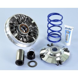 241.741 VARIATORE POLINI...