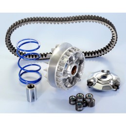 241.719 VARIATORE POLINI...