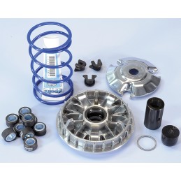 241.665 VARIATORE POLINI...