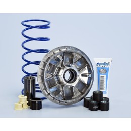 241.756 VARIATORE POLINI...