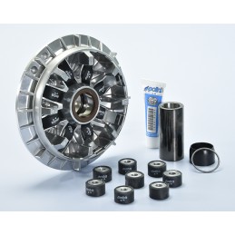 241.735 VARIATORE POLINI...