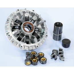 241.714 VARIATORE POLINI...