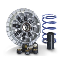 241.700 VARIATORE POLINI...