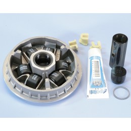 241.667 VARIATORE POLINI...