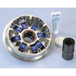 241.663 VARIATORE POLINI...