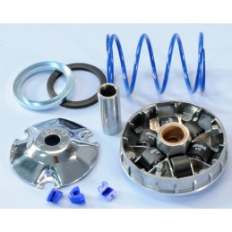 241.672 VARIATORE POLINI...