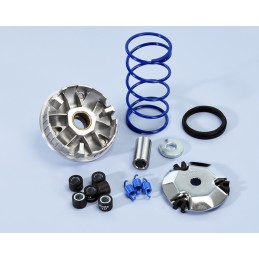 241.675 VARIATORE POLINI...