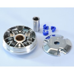 241.687 VARIATORE POLINI...