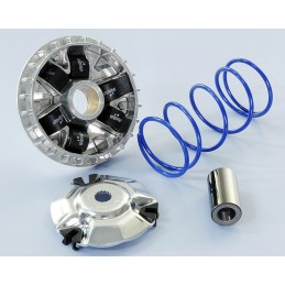 241.688 VARIATORE POLINI...