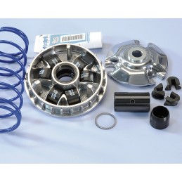 241.690 VARIATORE POLINI...