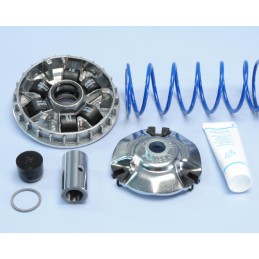 241.692 VARIATORE POLINI...