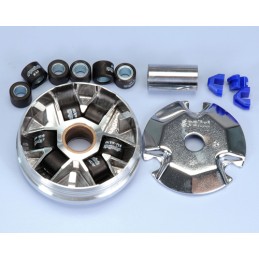 241.480 VARIATORE POLINI...