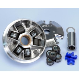 241.490 VARIATORE POLINI...