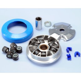 241.530 VARIATORE POLINI...