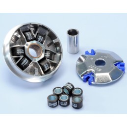 241.550 VARIATORE POLINI...