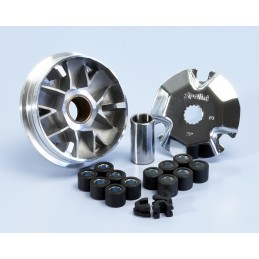 241.570 VARIATORE POLINI...