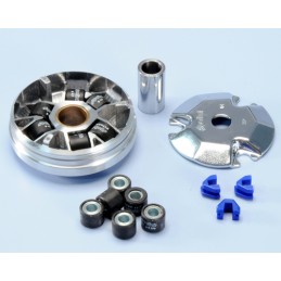 241.590 VARIATORE POLINI...