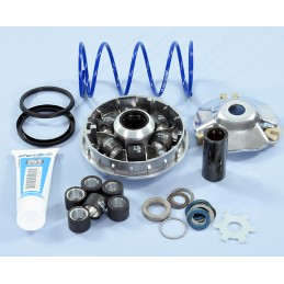 241.753 VARIATORE POLINI...