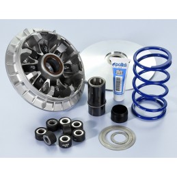 241.744 VARIATORE POLINI...