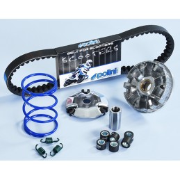 241.745 VARIATORE POLINI...