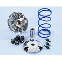 241.746 VARIATORE POLINI...