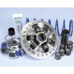 241.703 VARIATORE POLINI...