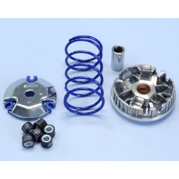 241.704 VARIATORE POLINI...