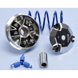 241.757 VARIATORE POLINI...