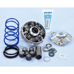 241.752 VARIATORE POLINI...