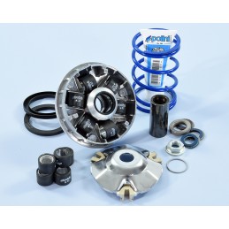 241.750 VARIATORE POLINI...