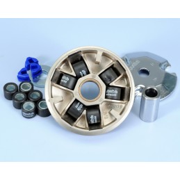 241.361 VARIATORE POLINI...