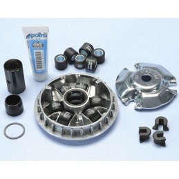 241.619 VARIATORE POLINI...