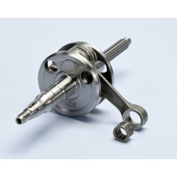 210.0049/12 ALBERO MOTORE...