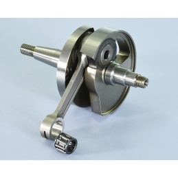 210.0055 ALBERO MOTORE...