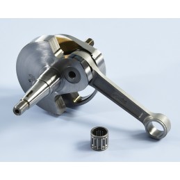 210.0064 ALBERO MOTORE...