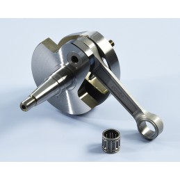 210.0065 ALBERO MOTORE...