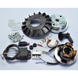 171.0543 ACCENSIONE POLINI...