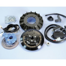 171.0544 ACCENSIONE POLINI...