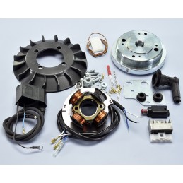 171.0545 ACCENSIONE POLINI...