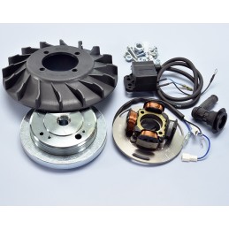 171.0549 ACCENSIONE POLINI...