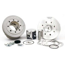 25031802 KIT GRUPPO TERMICO...