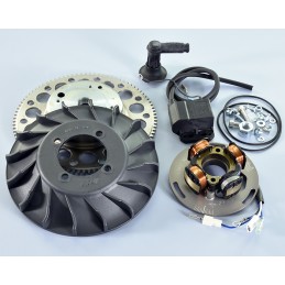 171.0550 ACCENSIONE POLINI...