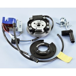 171.0552 ACCENSIONE POLINI...